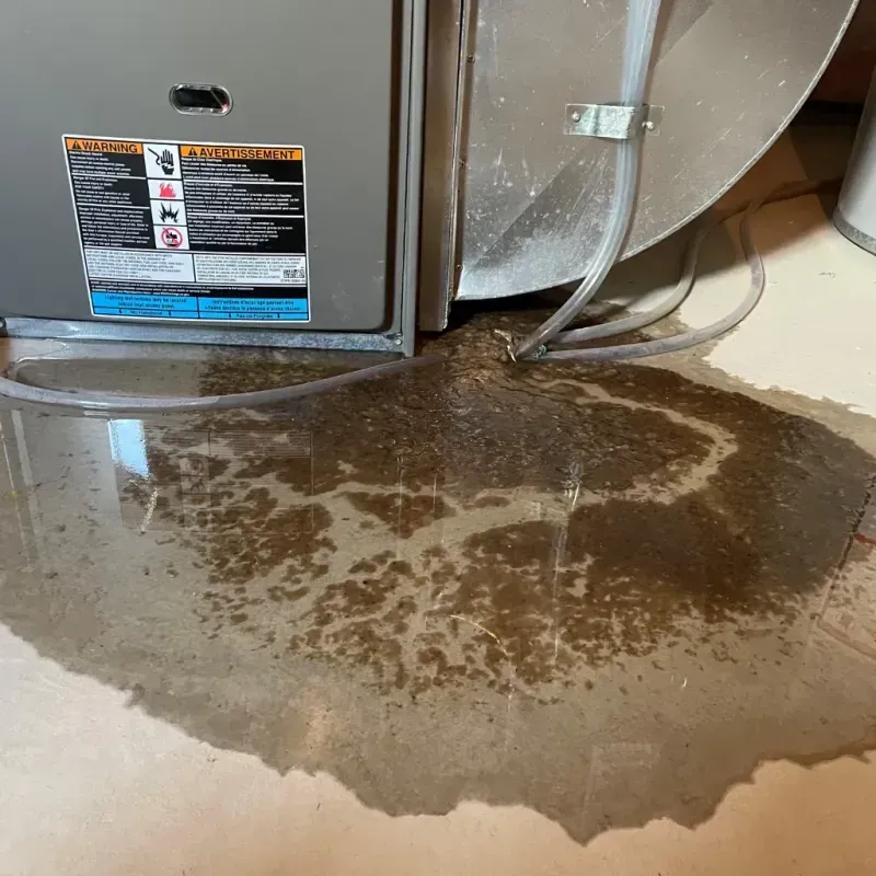 Appliance Leak Cleanup in Shingle Springs, CA